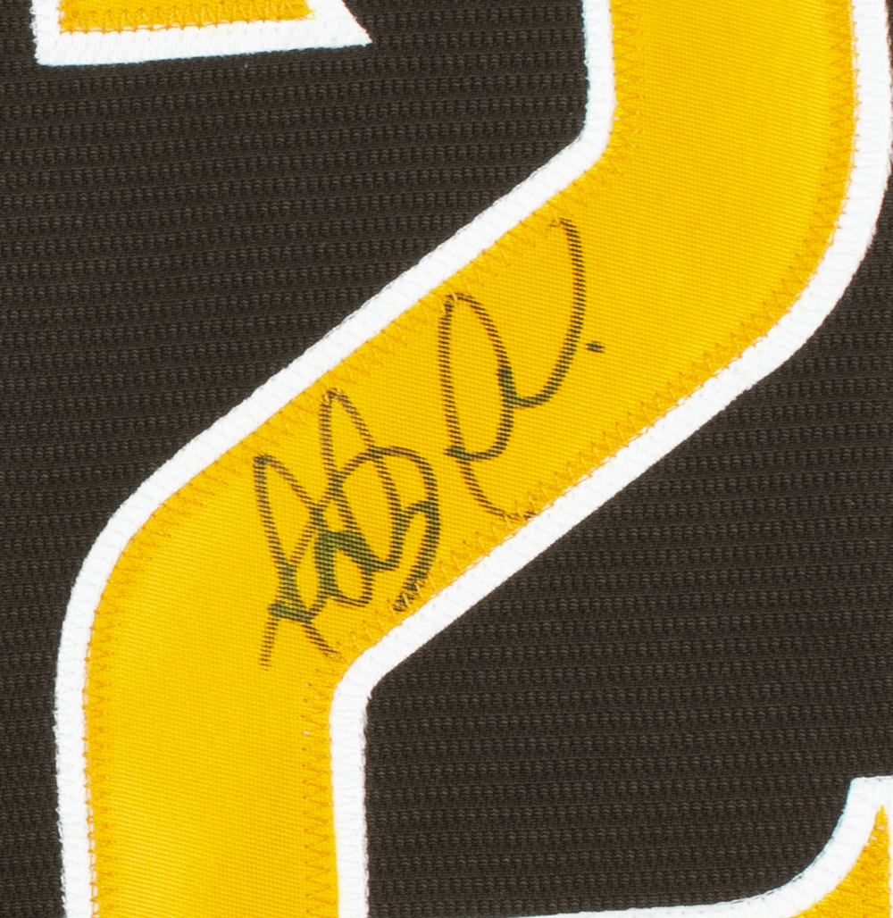 Fernando Tatis Jr. Signed Padres Nike Jersey (JSA) at PristineAuction.com Fernando Tatis Jr. Signed Padres Nike Jersey (JSA) at PristineAuction.com