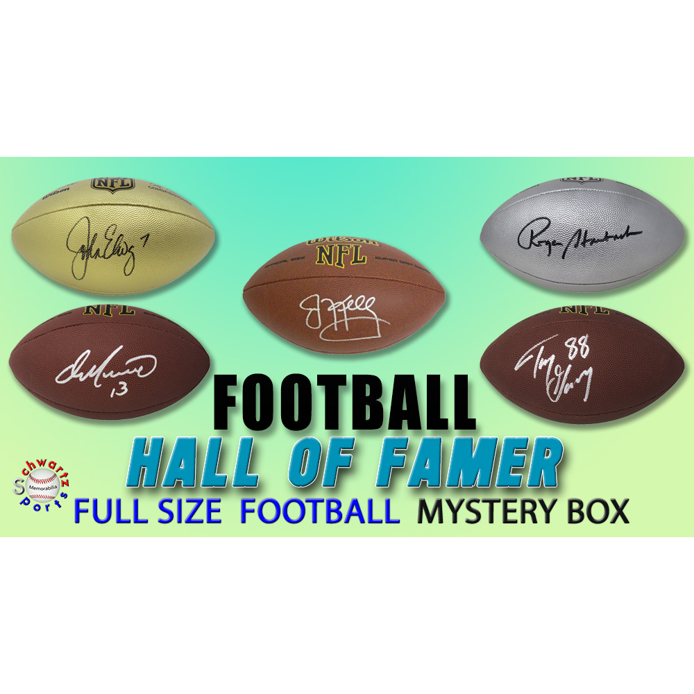 Schwartz Sports Football Hall Of Famer Signed Full Size Football