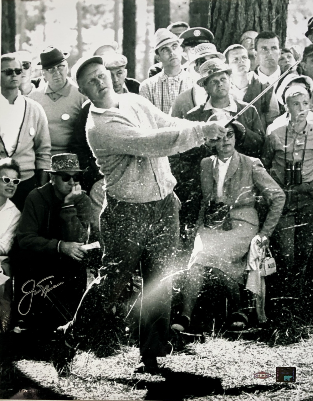 Jack Nicklaus Signed 16x20 Photo (Steiner & Nicklaus) at PristineAuction.com Jack Nicklaus Signed 16x20 Photo (Steiner & Nicklaus) at PristineAuction.com