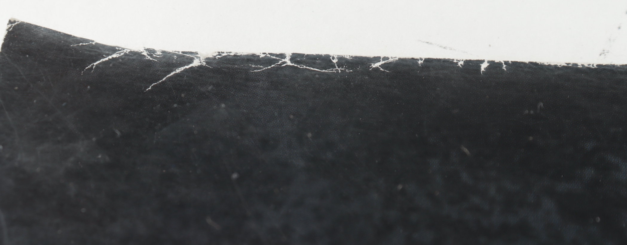 "The Evil Dead" 26.5x39.5 Movie Poster Signed By (6) with Bruce Campbell, Sarah York, Tom Sullivan, Ellen Sandweiss, Betsy Baker & Hal Delrich with Multiple Inscriptions (Beckett LOA) (See Description) at PristineAuction.com "The Evil Dead" 26.5x39.5 Movie Poster Signed By (6) with Bruce Campbell, Sarah York, Tom Sullivan, Ellen Sandweiss, Betsy Baker & Hal Delrich with Multiple Inscriptions (Beckett LOA) (See Description) at PristineAuction.com