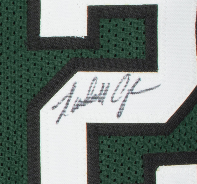 "QB Legends" Jersey Signed by (4) with Ron Jaworski, Randall Cunningham, Donovan McNabb & Michael Vick (JSA) at PristineAuction.com "QB Legends" Jersey Signed by (4) with Ron Jaworski, Randall Cunningham, Donovan McNabb & Michael Vick (JSA) at PristineAuction.com