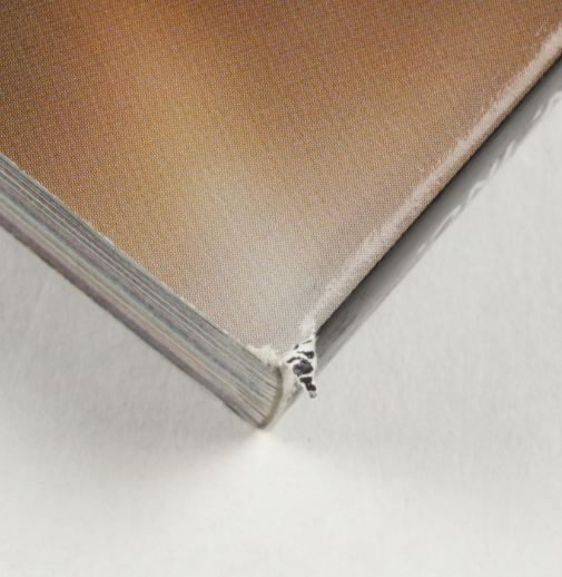 Eli Manning Signed Super Bowl XLII Official Game Program (Radtke COA) at PristineAuction.com Eli Manning Signed Super Bowl XLII Official Game Program (Radtke COA) at PristineAuction.com