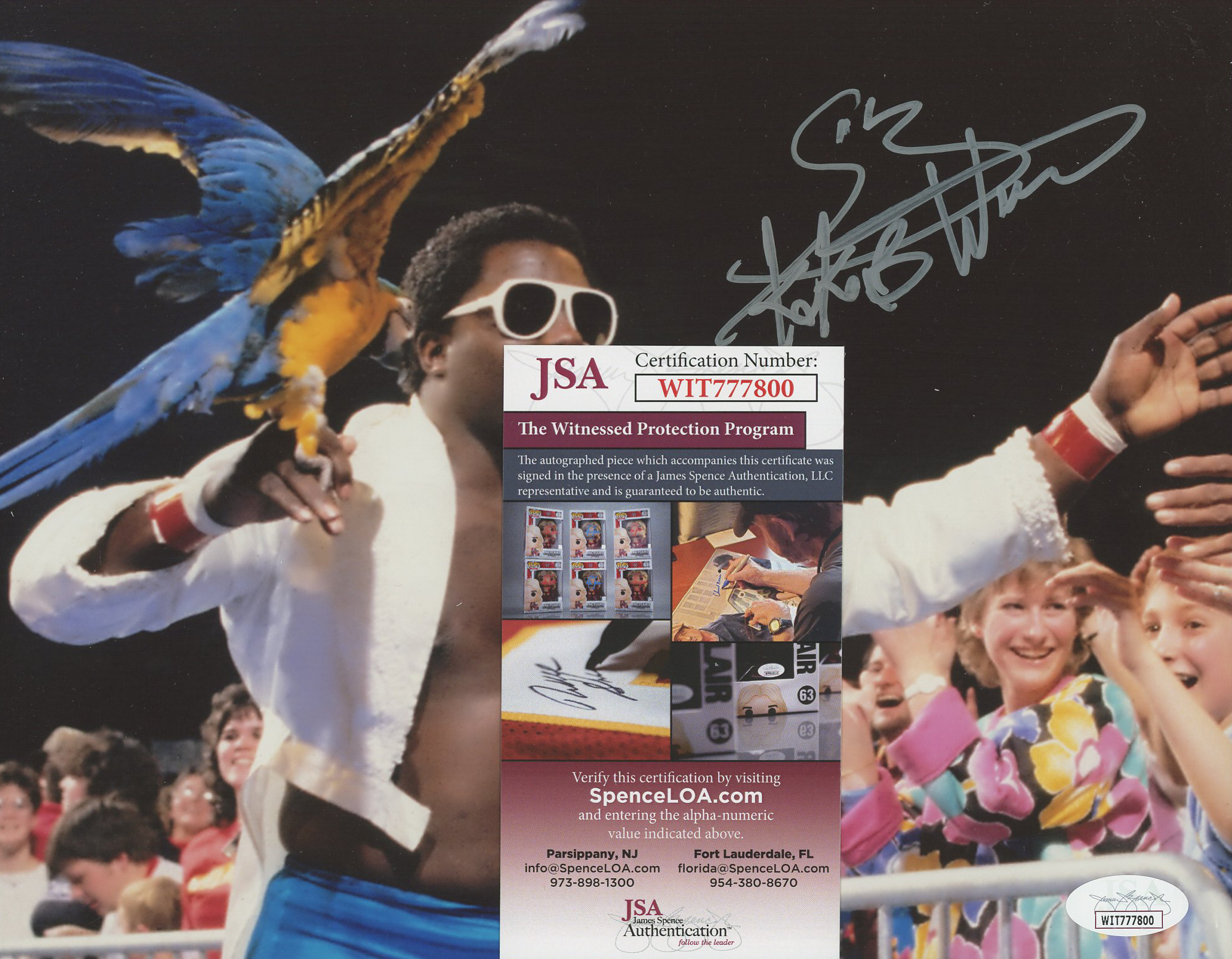 Koko B. Ware Signed WWE 8x10 Photo (JSA) at PristineAuction.com Koko B. Ware Signed WWE 8x10 Photo (JSA) at PristineAuction.com