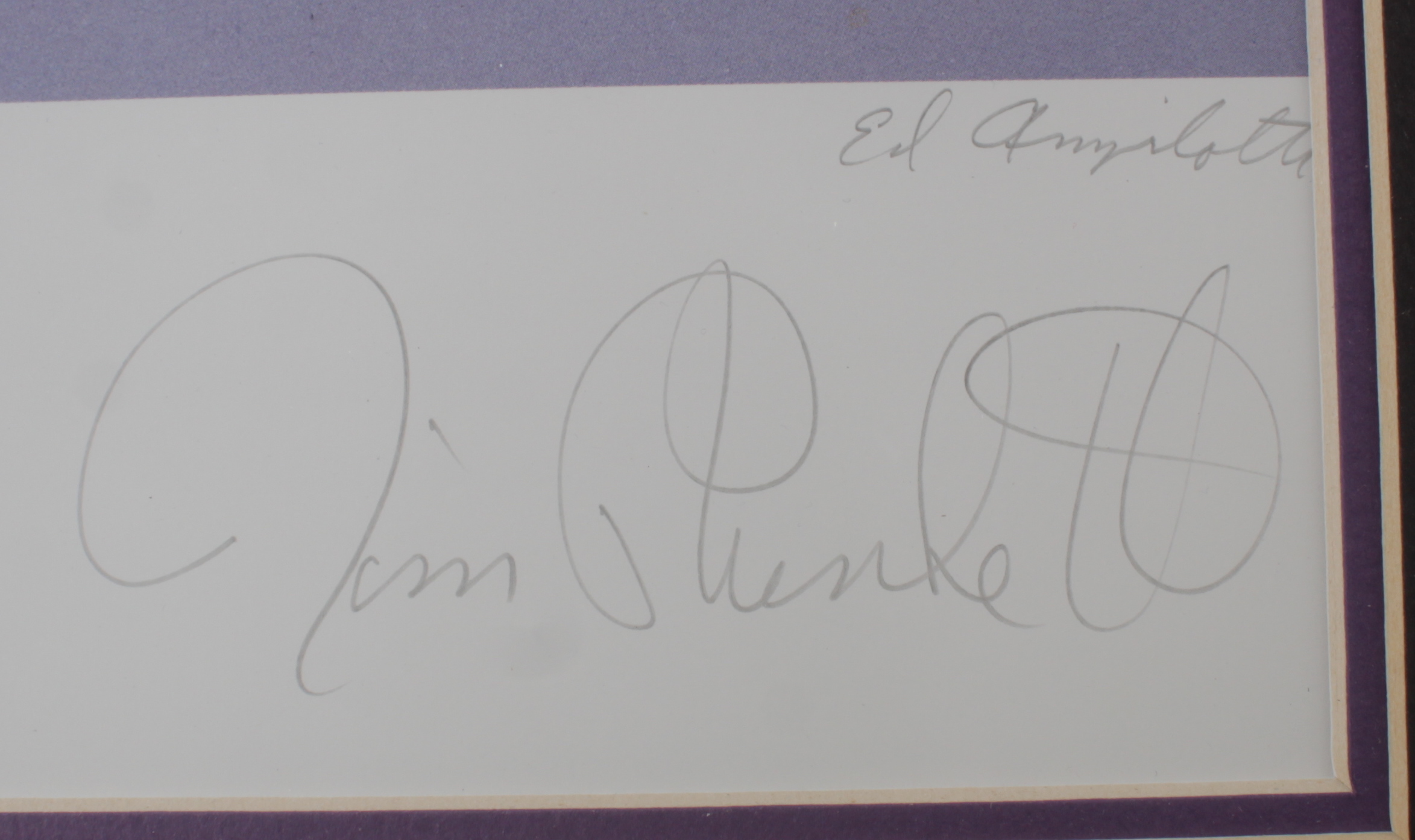 Ken Stabler, Jim Plunkett & Daryle Lamonica Signed Raiders LE 26x32 Custom Framed Matted Lithograph Display (JSA COA) at PristineAuction.com Ken Stabler, Jim Plunkett & Daryle Lamonica Signed Raiders LE 26x32 Custom Framed Matted Lithograph Display (JSA COA) at PristineAuction.com