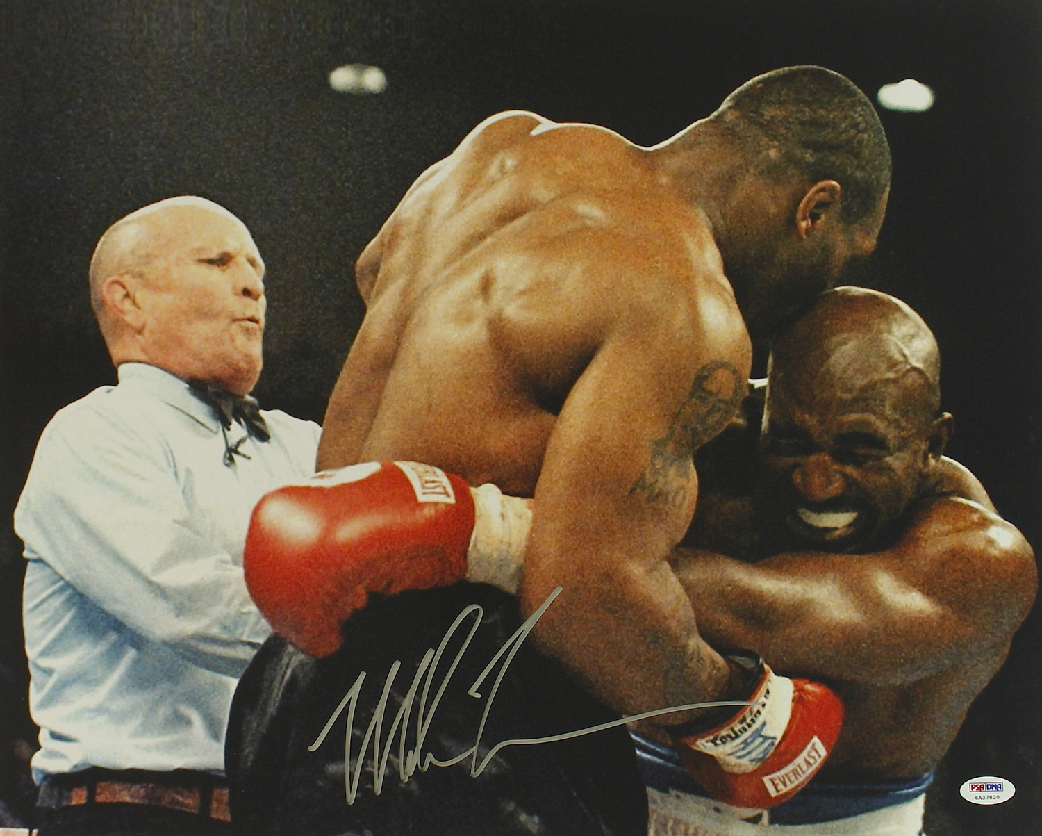 Mike Tyson Signed 16x20 Photo Biting Evander Holyfield's Ear (PSA COA) at PristineAuction.com Mike Tyson Signed 16x20 Photo Biting Evander Holyfield's Ear (PSA COA) at PristineAuction.com