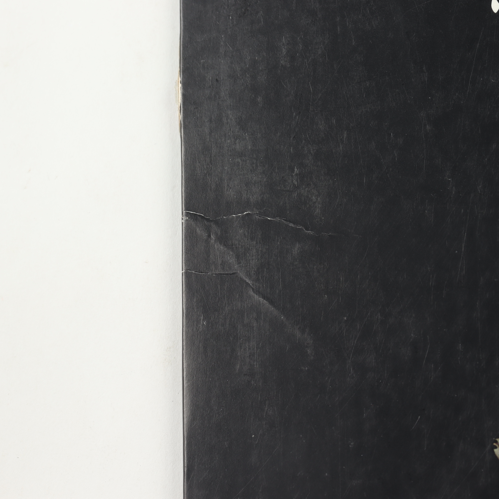 James O'Barr Signed "The Crow" Laserdisc (JSA COA) at PristineAuction.com James O'Barr Signed "The Crow" Laserdisc (JSA COA) at PristineAuction.com