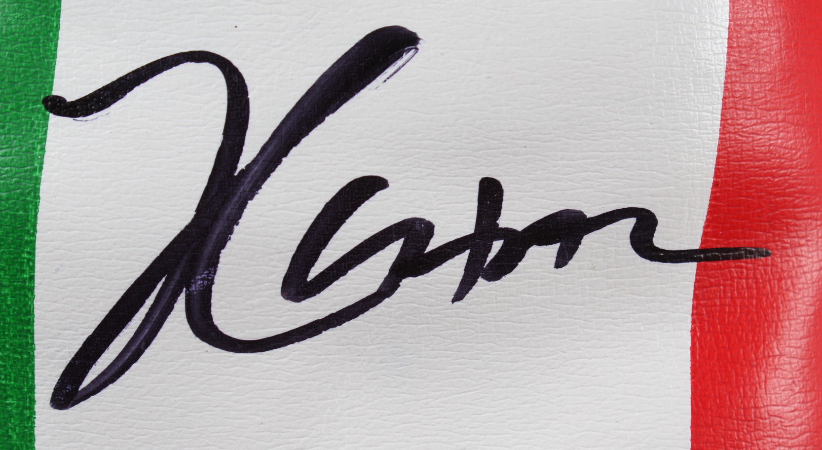 Julio Cesar Chavez Signed 17x22 Custom Framed Boxing Glove Display (JSA COA) at PristineAuction.com Julio Cesar Chavez Signed 17x22 Custom Framed Boxing Glove Display (JSA COA) at PristineAuction.com