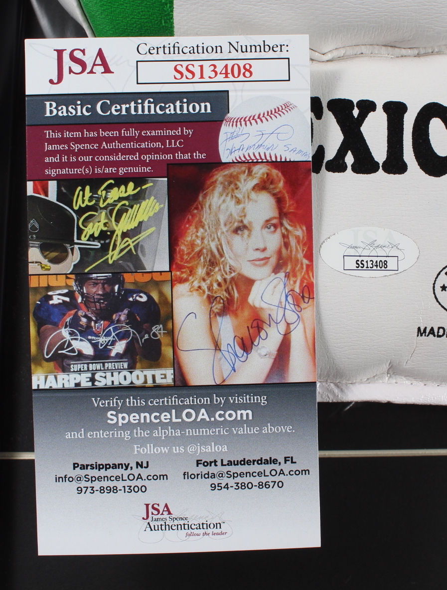 Julio Cesar Chavez Signed 17x22 Custom Framed Boxing Glove Display (JSA COA) at PristineAuction.com Julio Cesar Chavez Signed 17x22 Custom Framed Boxing Glove Display (JSA COA) at PristineAuction.com