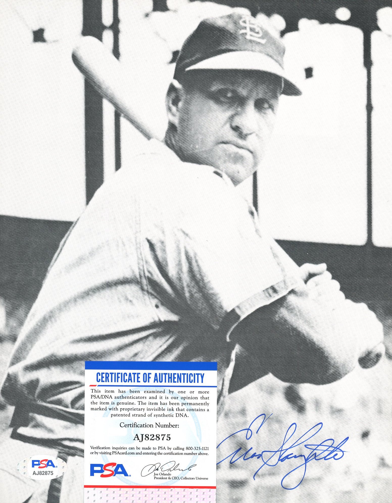 Enos Slaughter Signed Cardinals 8x10 Photo (PSA COA) at PristineAuction.com Enos Slaughter Signed Cardinals 8x10 Photo (PSA COA) at PristineAuction.com