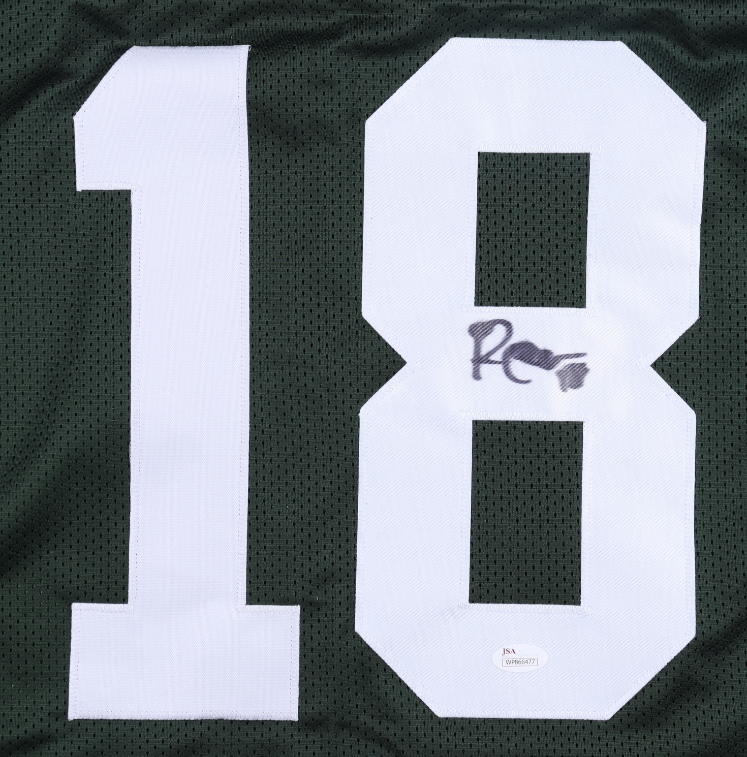 Randall Cobb Signed Jersey (JSA) at PristineAuction.com Randall Cobb Signed Jersey (JSA) at PristineAuction.com