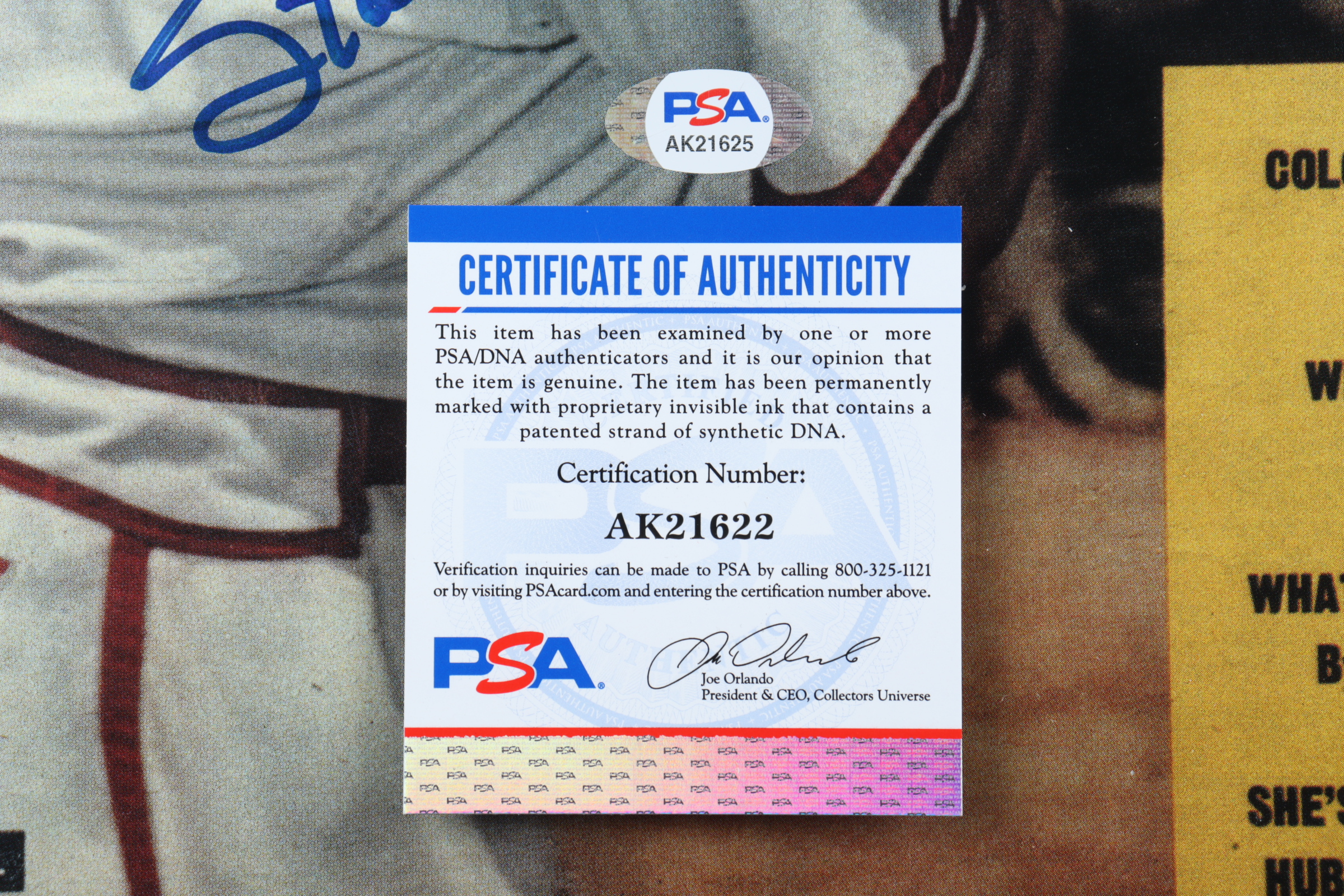 Stan "The Man" Musial Signed Cardinals 15x20 Custom Framed Photo Display (PSA COA) at PristineAuction.com Stan "The Man" Musial Signed Cardinals 15x20 Custom Framed Photo Display (PSA COA) at PristineAuction.com