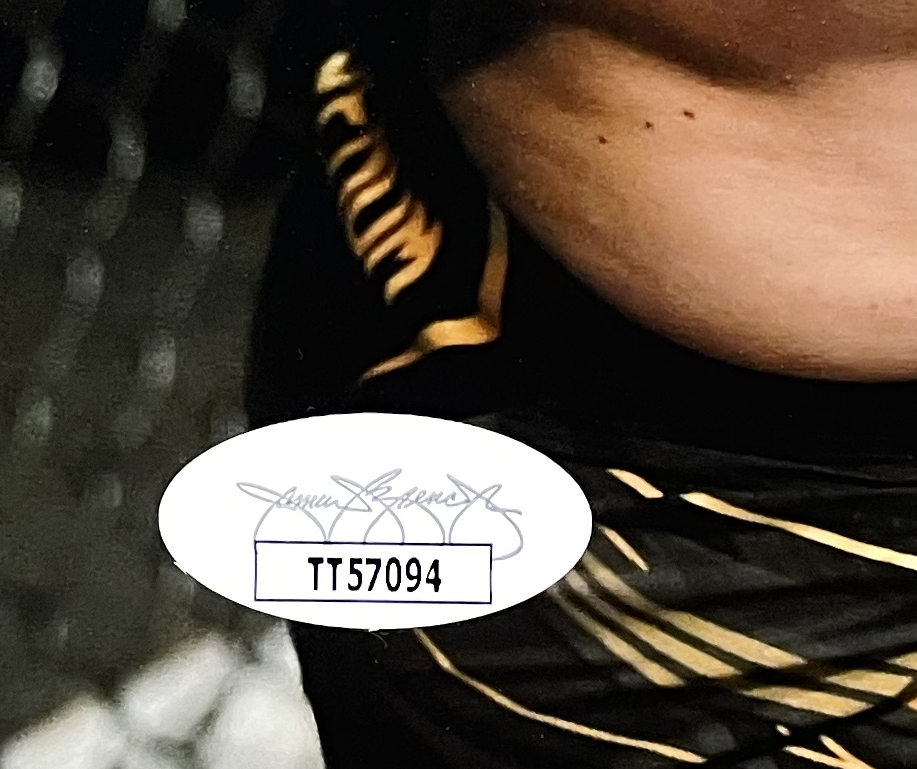 Glover Teixeira Signed UFC 8x10 Photo (JSA) at PristineAuction.com Glover Teixeira Signed UFC 8x10 Photo (JSA) at PristineAuction.com