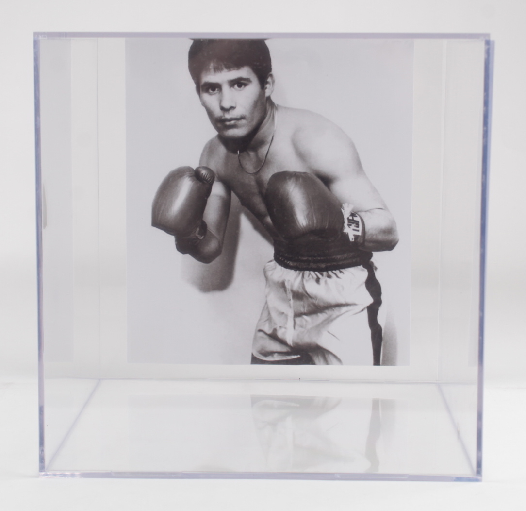 Julio Cesar Chavez Signed Everlast Boxing Gloves with Display Case (JSA COA) at PristineAuction.com Julio Cesar Chavez Signed Everlast Boxing Gloves with Display Case (JSA COA) at PristineAuction.com