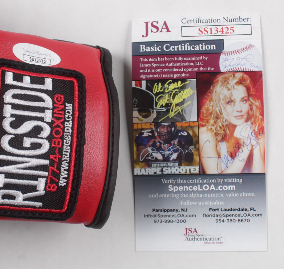 Julio Cesar Chavez Signed Everlast Boxing Gloves with Display Case (JSA COA) at PristineAuction.com Julio Cesar Chavez Signed Everlast Boxing Gloves with Display Case (JSA COA) at PristineAuction.com