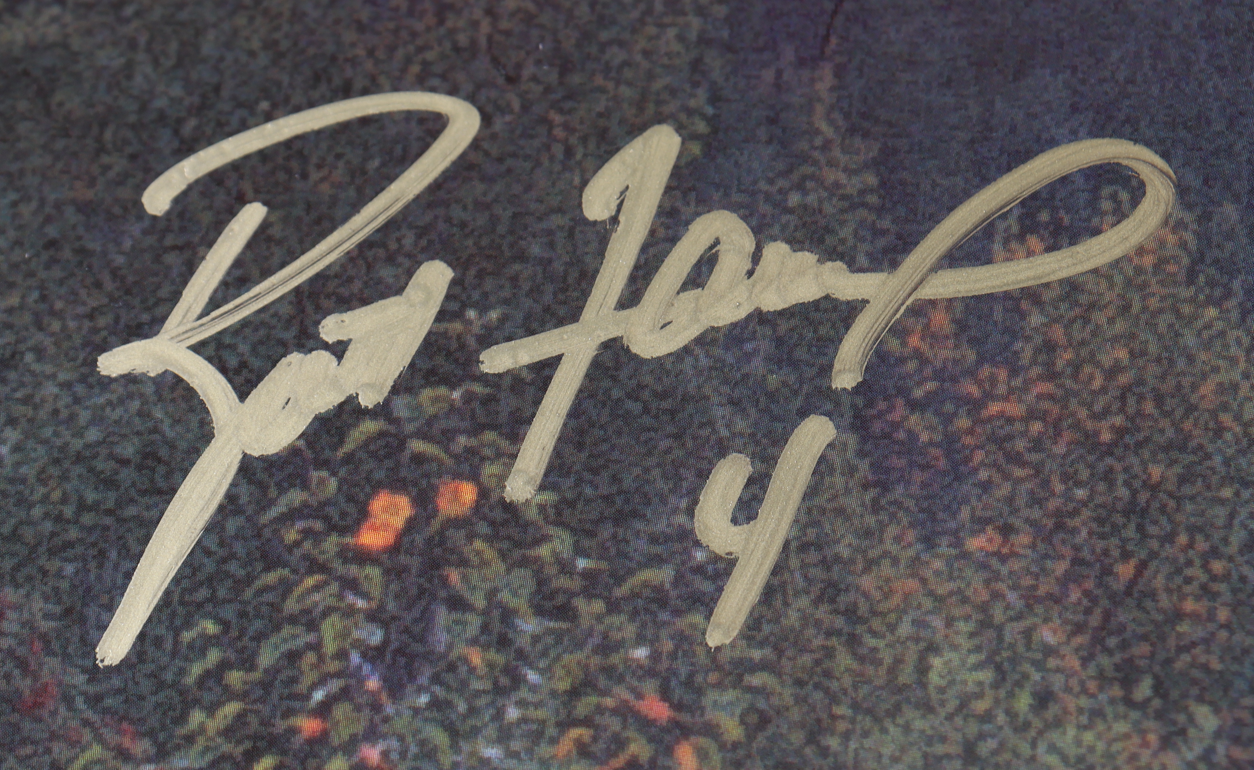 Brett Favre Signed Packers "Leader Of The Pack" 18x24 Photo (Favre) at PristineAuction.com Brett Favre Signed Packers "Leader Of The Pack" 18x24 Photo (Favre) at PristineAuction.com