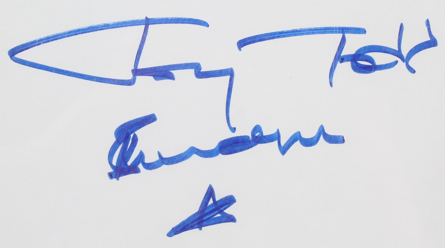 Tony Todd Signed "Candyman" 21x33 Movie Poster Inscribed "Candyman" (JSA) at PristineAuction.com Tony Todd Signed "Candyman" 21x33 Movie Poster Inscribed "Candyman" (JSA) at PristineAuction.com