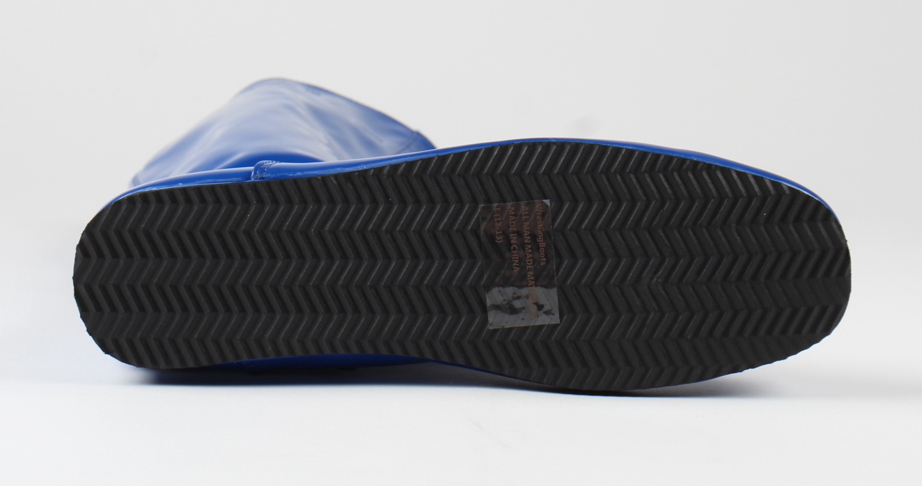 Ric Flair Signed Wrestling Boot (JSA) at PristineAuction.com Ric Flair Signed Wrestling Boot (JSA) at PristineAuction.com