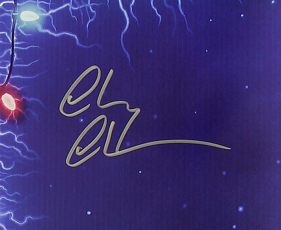 Chevy Chase Signed "Christmas Vacation" 27x40 Movie Poster (PSA COA) at PristineAuction.com Chevy Chase Signed "Christmas Vacation" 27x40 Movie Poster (PSA COA) at PristineAuction.com