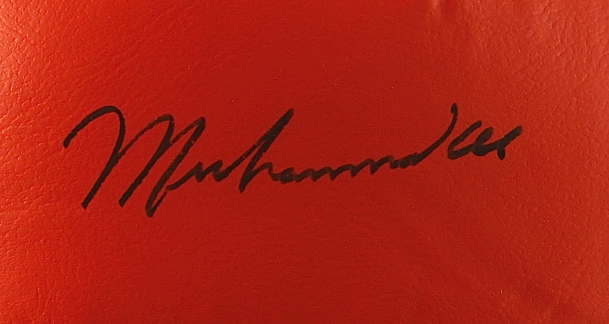 Muhammad Ali Signed Vintage Everlast Boxing Glove (JSA ALOA) at PristineAuction.com Muhammad Ali Signed Vintage Everlast Boxing Glove (JSA ALOA) at PristineAuction.com