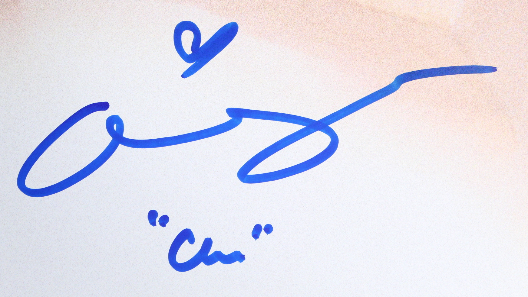 Alicia Silverstone Signed "Clueless" 27x40 Movie Poster Print Inscribed "Cher" (Schwartz Sports) at PristineAuction.com Alicia Silverstone Signed "Clueless" 27x40 Movie Poster Print Inscribed "Cher" (Schwartz Sports) at PristineAuction.com