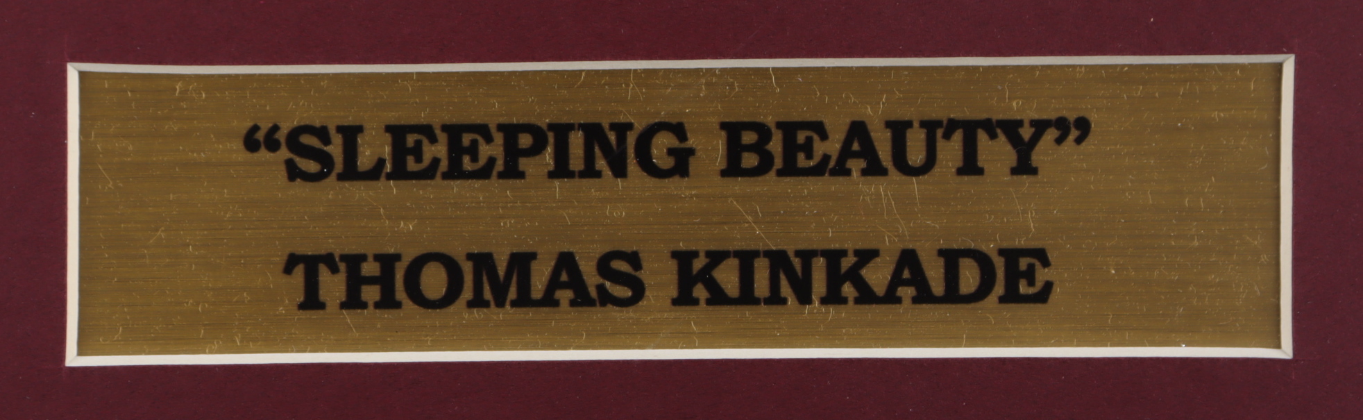 Thomas Kinkade "Sleeping Beauty" 16x16 Custom Framed Print Display with Aurora Character Pin at PristineAuction.com Thomas Kinkade "Sleeping Beauty" 16x16 Custom Framed Print Display with Aurora Character Pin at PristineAuction.com