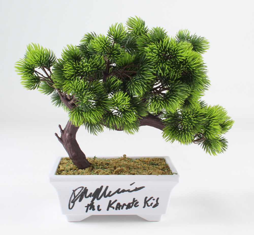 Ralph Macchio Signed "The Karate Kid" Artificial Bonsai Tree Inscribed "The Karate Kid