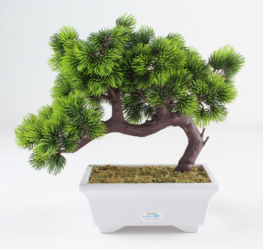 Ralph Macchio Signed "The Karate Kid" Artificial Bonsai Tree Inscribed