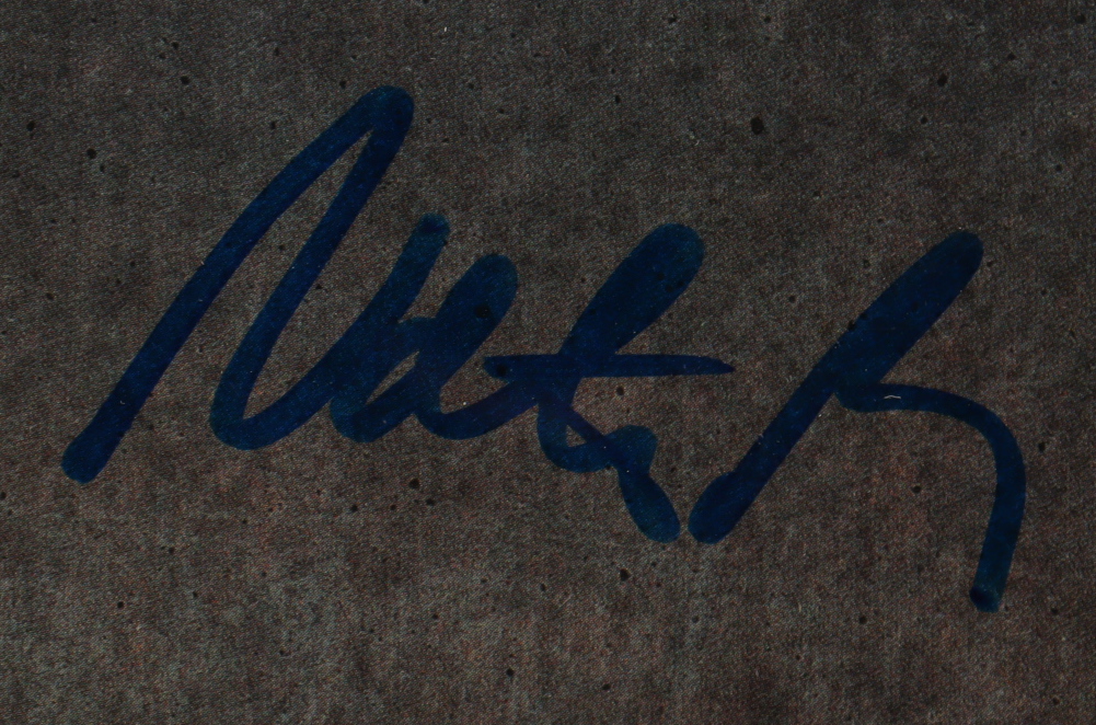 Foo Fighters 24.5x33.5 Custom Framed Record Display Signed By (5) with Dave Grohl, Taylor Hawkins, Nate Mendel, Pat Smear (JSA) at PristineAuction.com Foo Fighters 24.5x33.5 Custom Framed Record Display Signed By (5) with Dave Grohl, Taylor Hawkins, Nate Mendel, Pat Smear (JSA) at PristineAuction.com