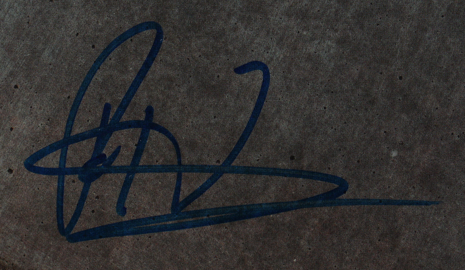 Foo Fighters 24.5x33.5 Custom Framed Record Display Signed By (5) with Dave Grohl, Taylor Hawkins, Nate Mendel, Pat Smear (JSA) at PristineAuction.com Foo Fighters 24.5x33.5 Custom Framed Record Display Signed By (5) with Dave Grohl, Taylor Hawkins, Nate Mendel, Pat Smear (JSA) at PristineAuction.com