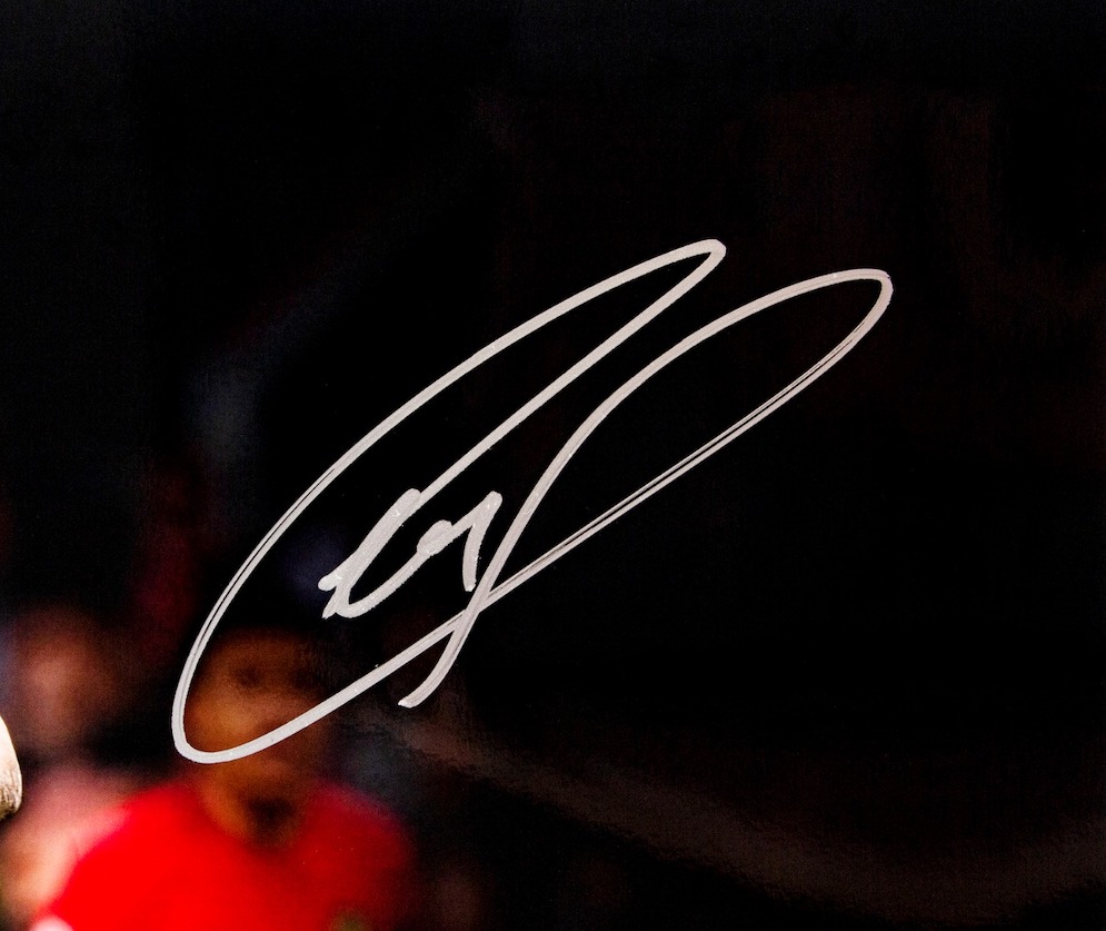 Christian Pulisic Signed LE Chelsea 16x20 Photo (Panini) at PristineAuction.com Christian Pulisic Signed LE Chelsea 16x20 Photo (Panini) at PristineAuction.com