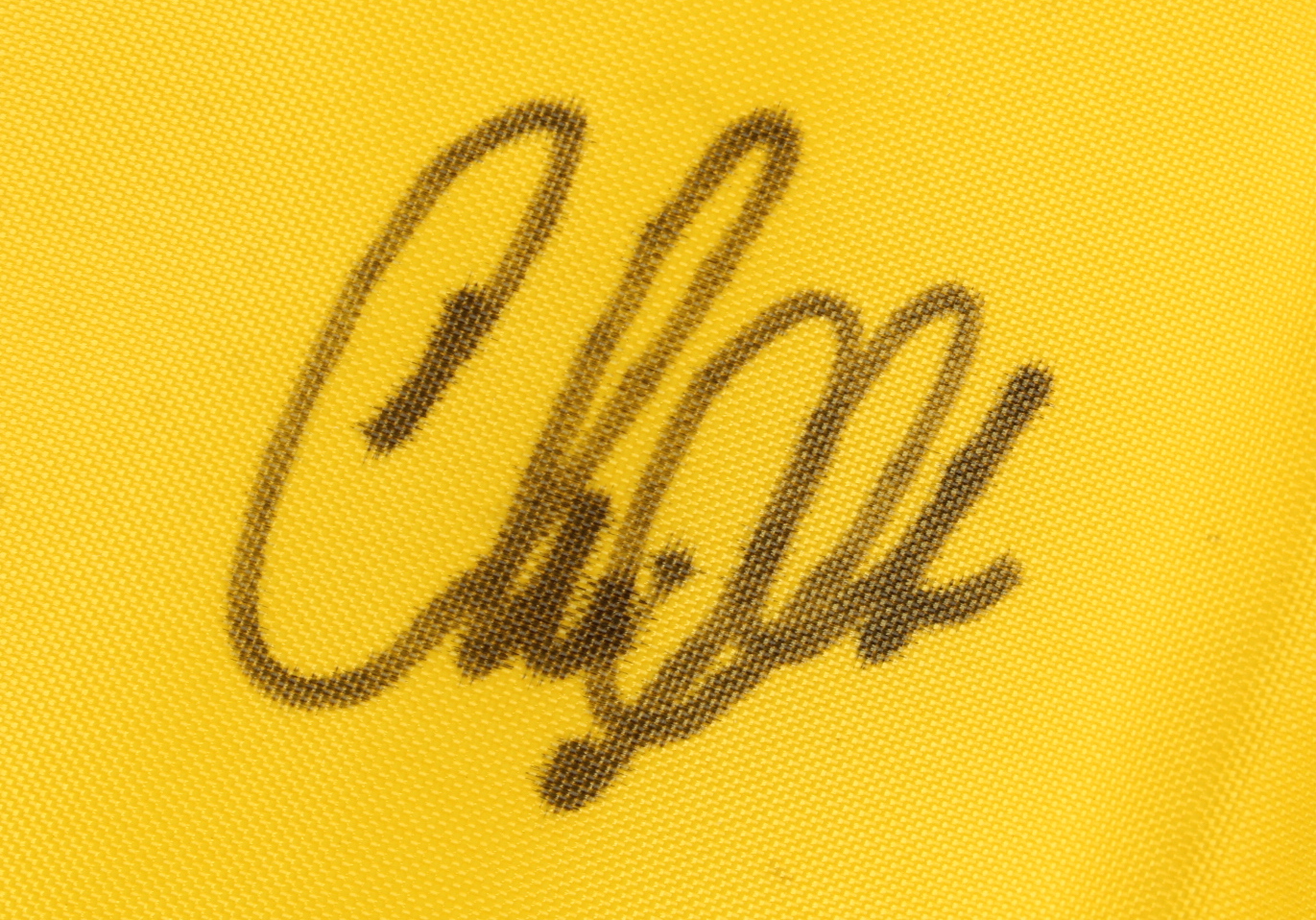 Chris DiMarco Signed 88th PGA Championship Golf Pin Flag (PSA) at PristineAuction.com Chris DiMarco Signed 88th PGA Championship Golf Pin Flag (PSA) at PristineAuction.com