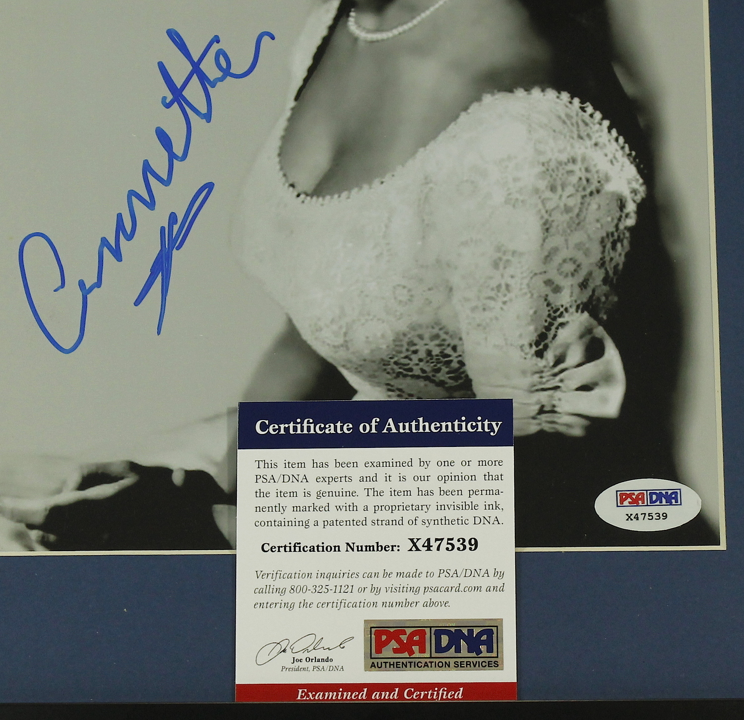 Annette Funicello Signed 13x15 Custom Framed Photo (PSA COA) at PristineAuction.com Annette Funicello Signed 13x15 Custom Framed Photo (PSA COA) at PristineAuction.com