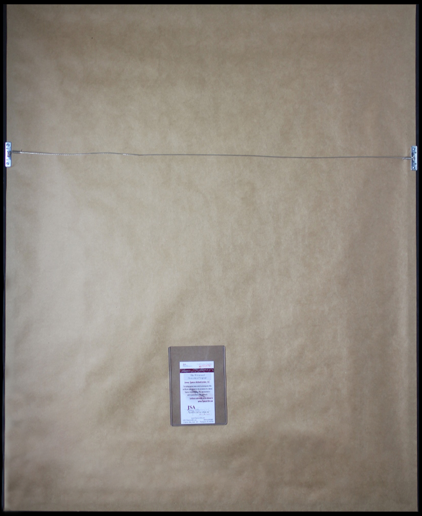 Giannis Antetokounmpo Signed 35x43 Custom Framed Jersey Display (JSA) at PristineAuction.com Giannis Antetokounmpo Signed 35x43 Custom Framed Jersey Display (JSA) at PristineAuction.com