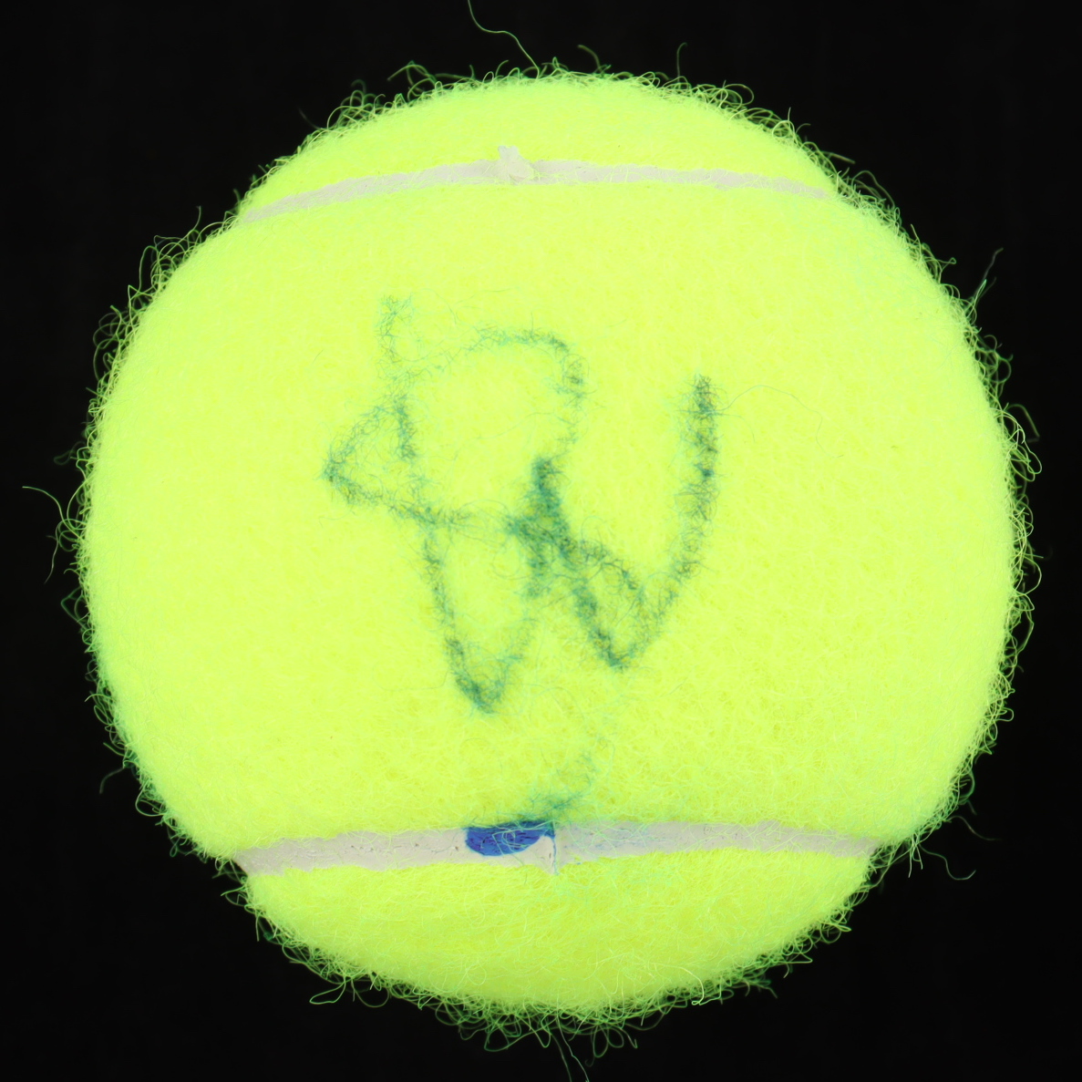 Maria Sakkari Signed Tennis Ball (ACOA) at PristineAuction.com Maria Sakkari Signed Tennis Ball (ACOA) at PristineAuction.com