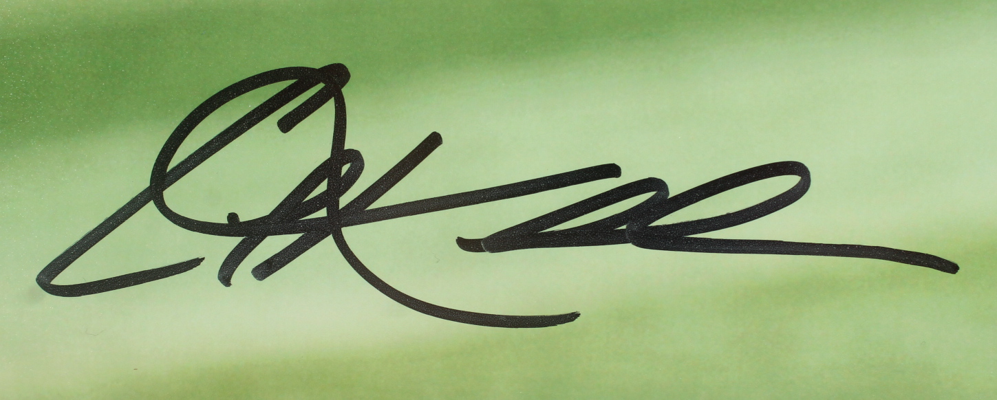 Corey Kluber Signed Indians 16x20 Photo (Fanatics & MLB) at PristineAuction.com Corey Kluber Signed Indians 16x20 Photo (Fanatics & MLB) at PristineAuction.com