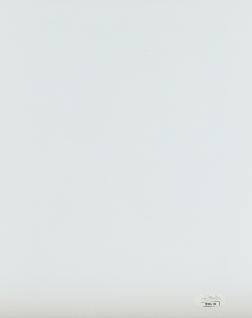 Raquel Welch Signed 8x10 Photo (JSA) at PristineAuction.com Raquel Welch Signed 8x10 Photo (JSA) at PristineAuction.com