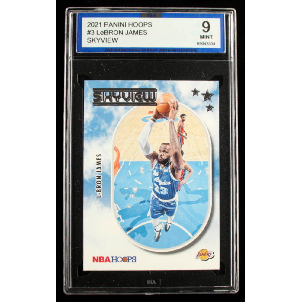 skyview lebron james