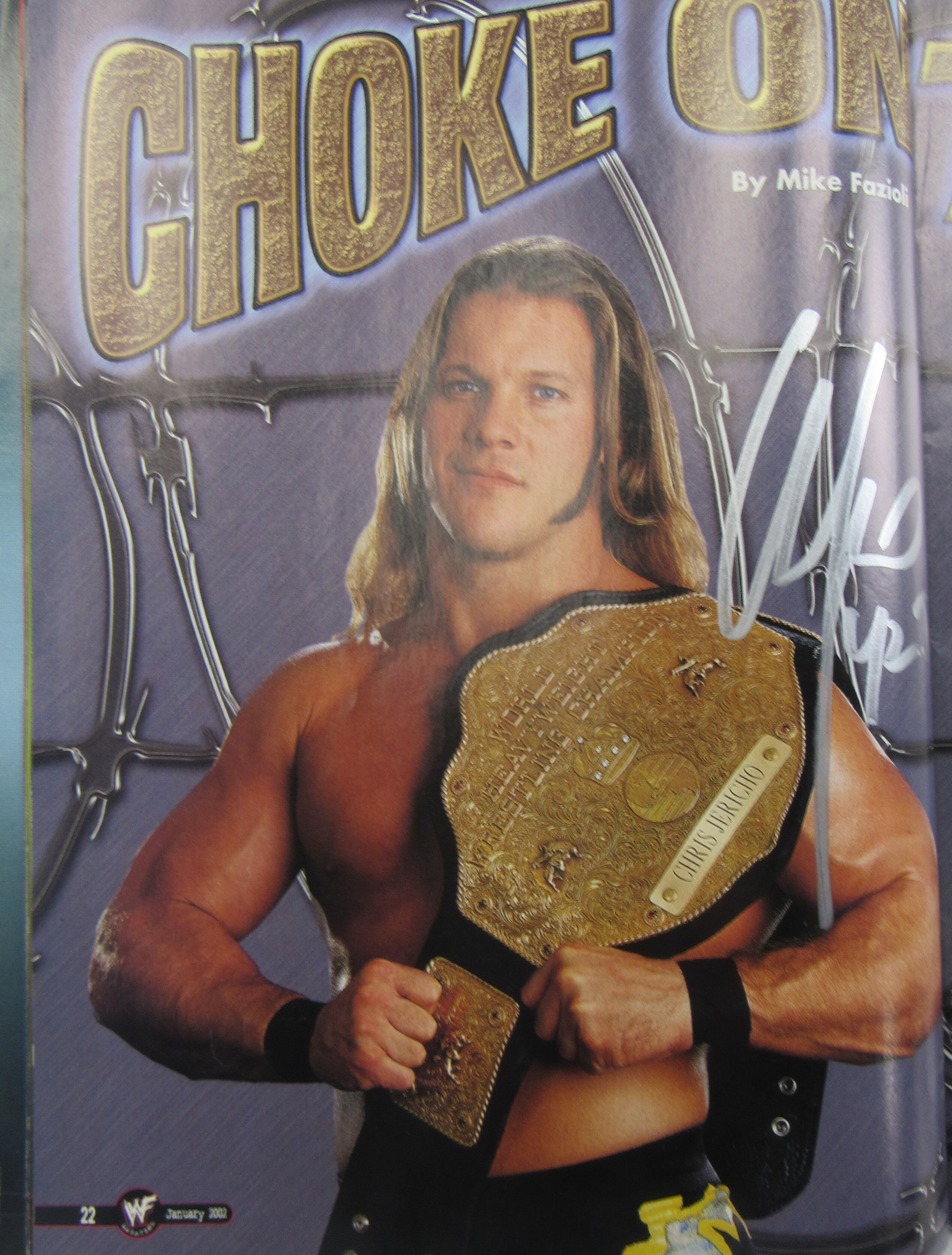 2002 WWF Magazine Signed by (5) with Lita, Matt Hardy, Jeff Hardy with Multiple Inscriptions (JSA) at PristineAuction.com 2002 WWF Magazine Signed by (5) with Lita, Matt Hardy, Jeff Hardy with Multiple Inscriptions (JSA) at PristineAuction.com