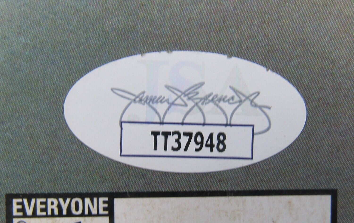 2002 WWF Magazine Signed by (5) with Lita, Matt Hardy, Jeff Hardy with Multiple Inscriptions (JSA) at PristineAuction.com 2002 WWF Magazine Signed by (5) with Lita, Matt Hardy, Jeff Hardy with Multiple Inscriptions (JSA) at PristineAuction.com