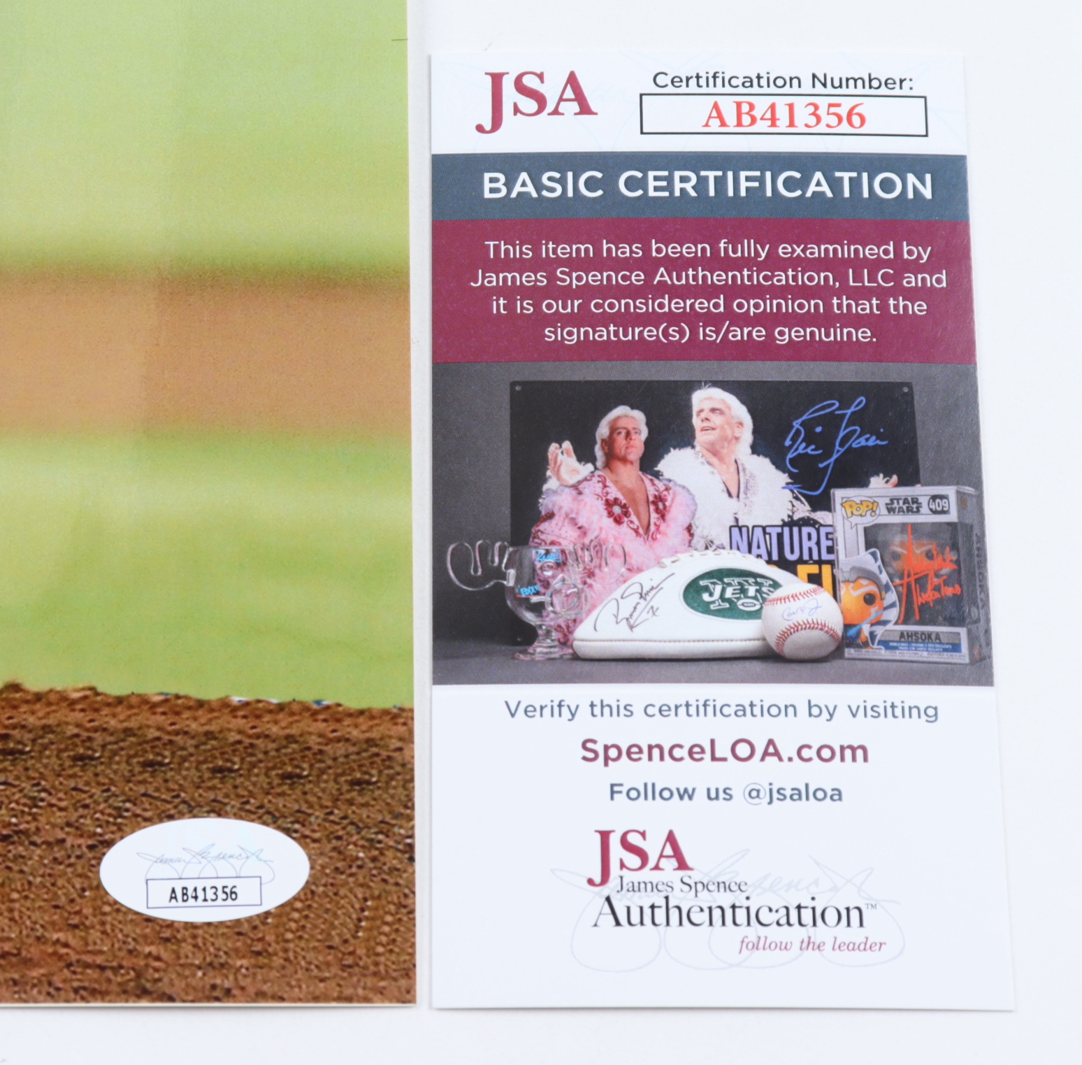 Jose Fernandez Signed Grasshoppers 11x14 Photo (JSA) at PristineAuction.com Jose Fernandez Signed Grasshoppers 11x14 Photo (JSA) at PristineAuction.com