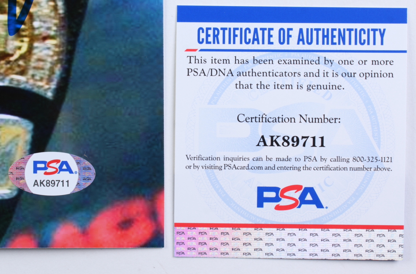 Jeff Hardy Signed WWE 8x10 Photo (PSA) at PristineAuction.com Jeff Hardy Signed WWE 8x10 Photo (PSA) at PristineAuction.com