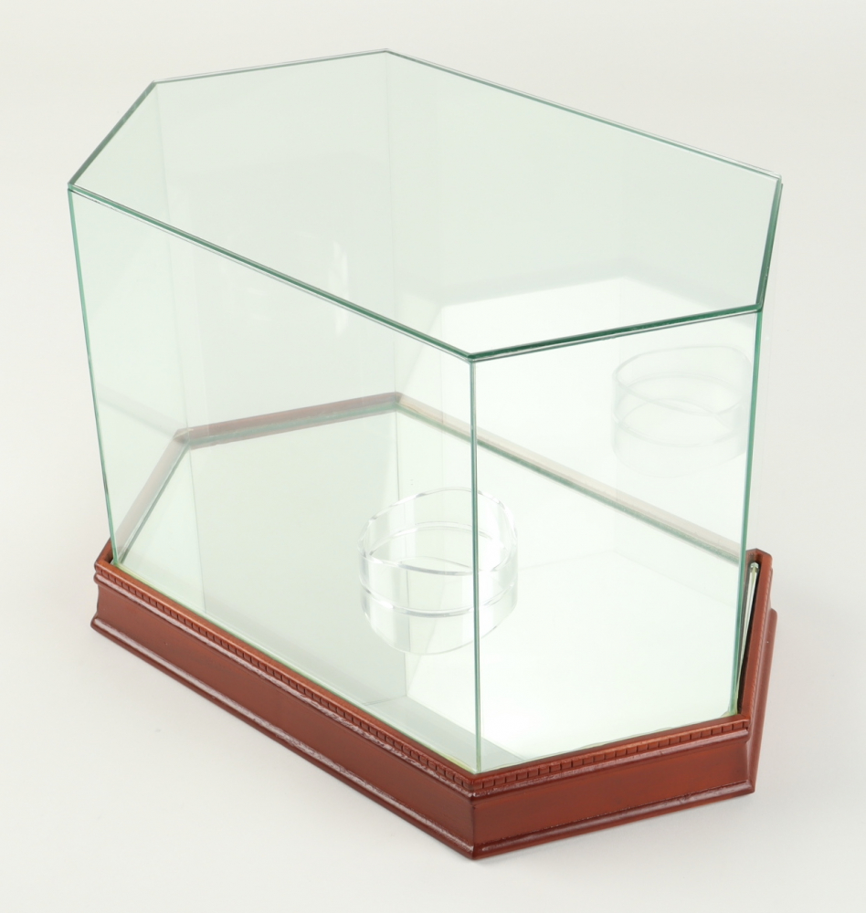 Single Steiner Football Display Case Pristine Auction