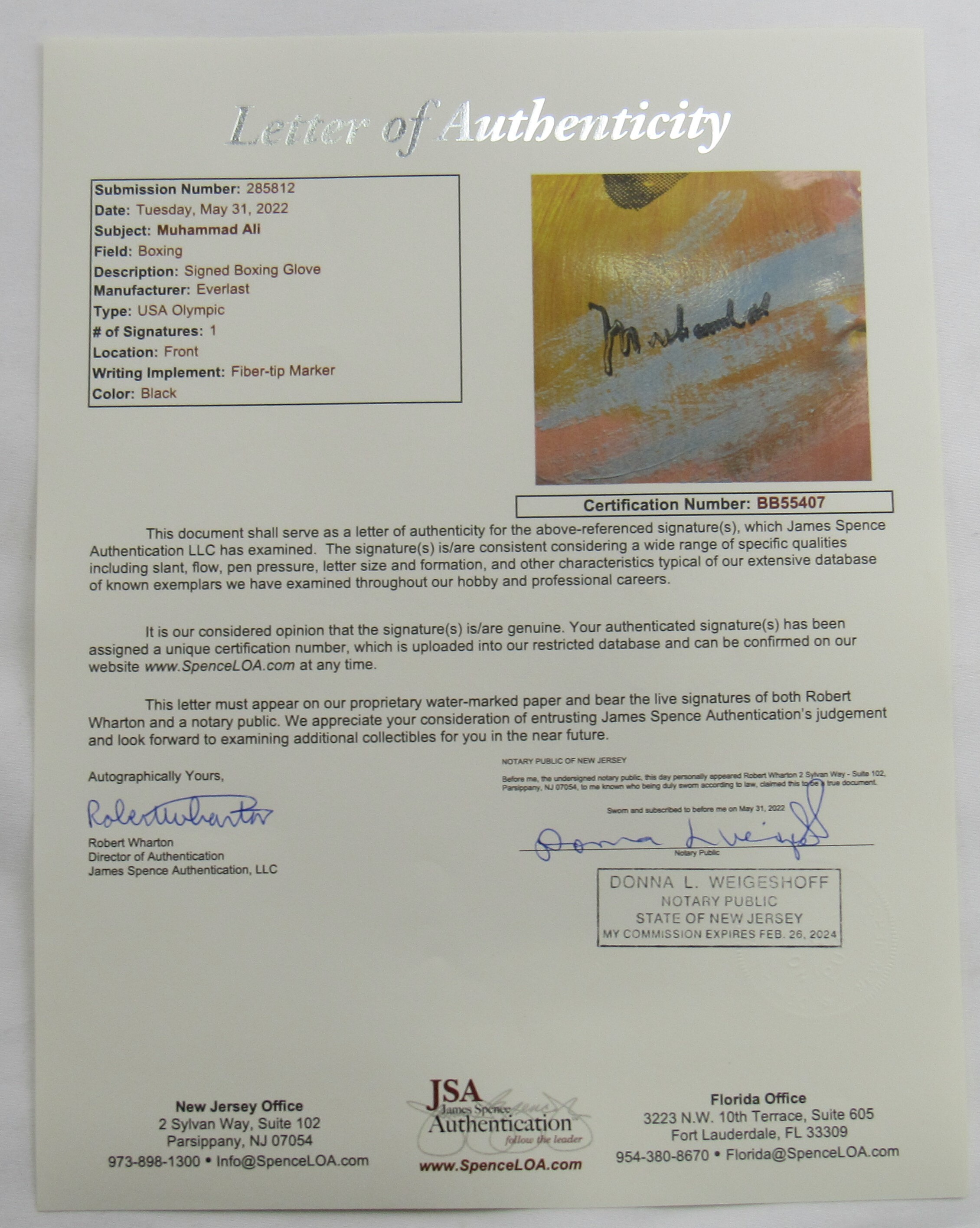 Muhammad Ali Signed Pair of LE Painted Everlast Boxing Gloves (JSA) at PristineAuction.com Muhammad Ali Signed Pair of LE Painted Everlast Boxing Gloves (JSA) at PristineAuction.com