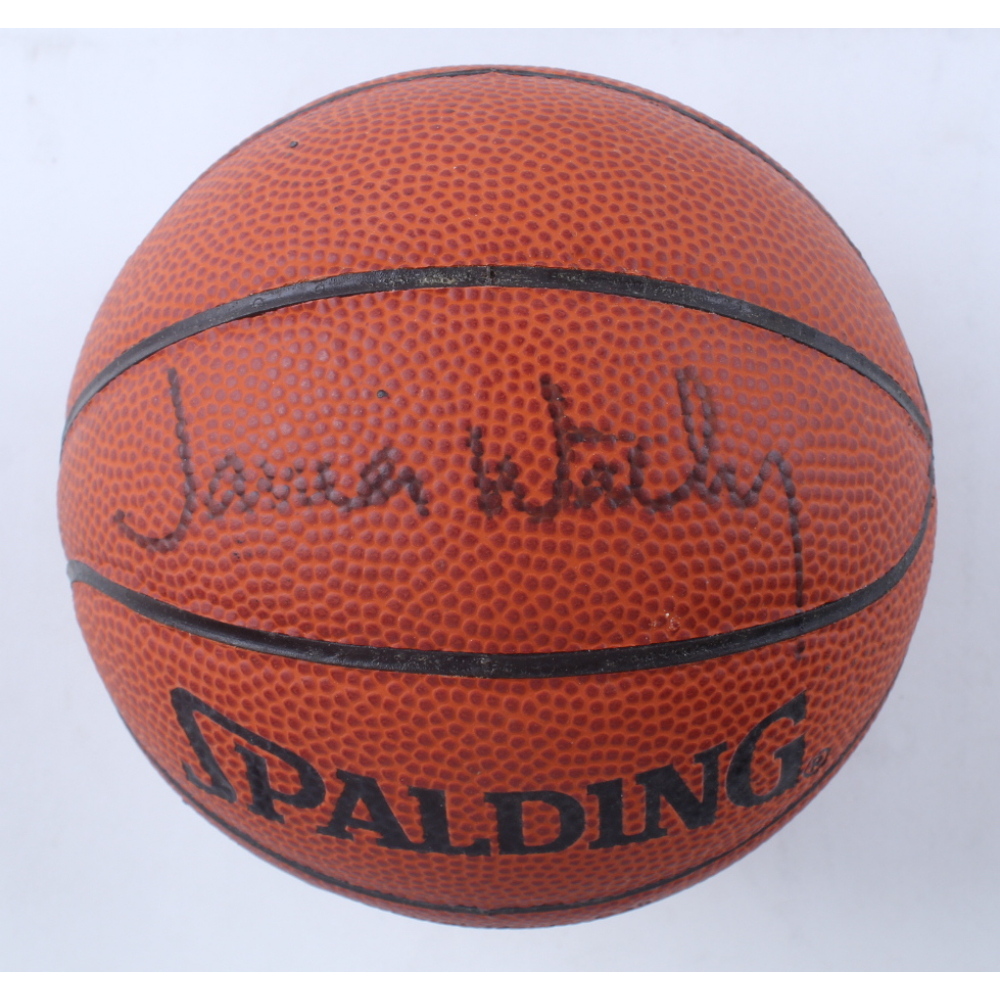 James Worthy Signed Mini NBA Basketball (PSA) Pristine Auction