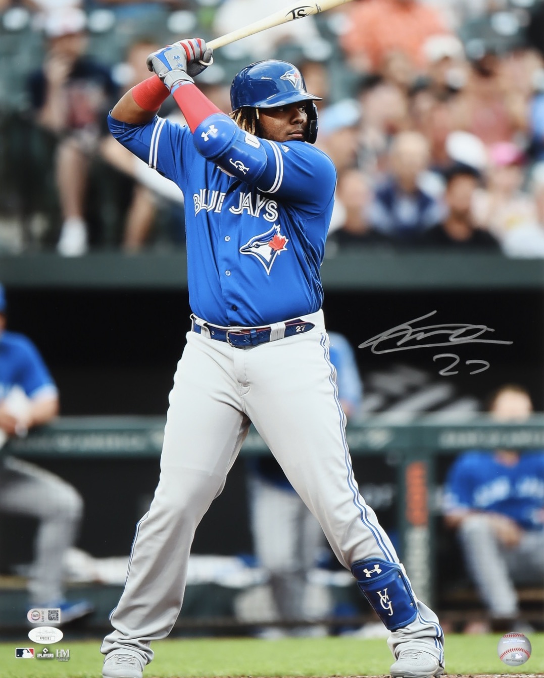 Vladimir Guerrero Jr. Signed Blue Jays 16x20 Photo (JSA & USA SM) at PristineAuction.com Vladimir Guerrero Jr. Signed Blue Jays 16x20 Photo (JSA & USA SM) at PristineAuction.com