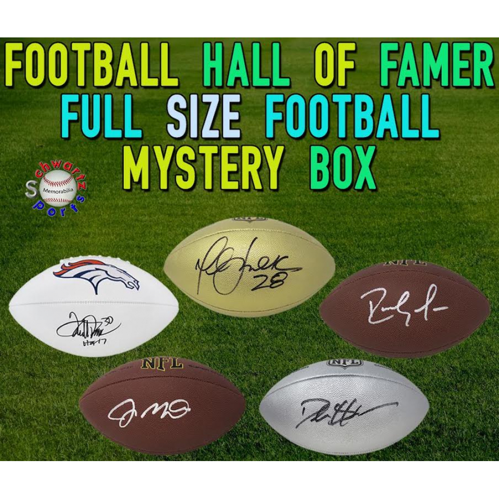 Schwartz Sports Football HALL OF FAMER Signed Full Size Football