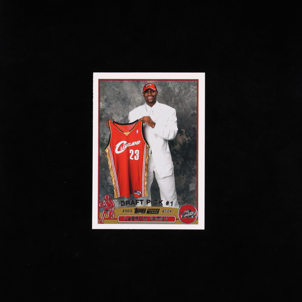 lebron james 221