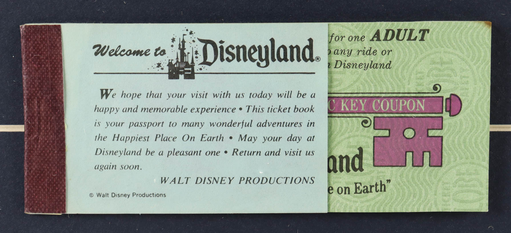 Disneyland "Splash Mountain" Custom Framed Portfolio Display with Vintage Disneyland Ticket Book & Cast Member Ride Button at PristineAuction.com Disneyland "Splash Mountain" Custom Framed Portfolio Display with Vintage Disneyland Ticket Book & Cast Member Ride Button at PristineAuction.com