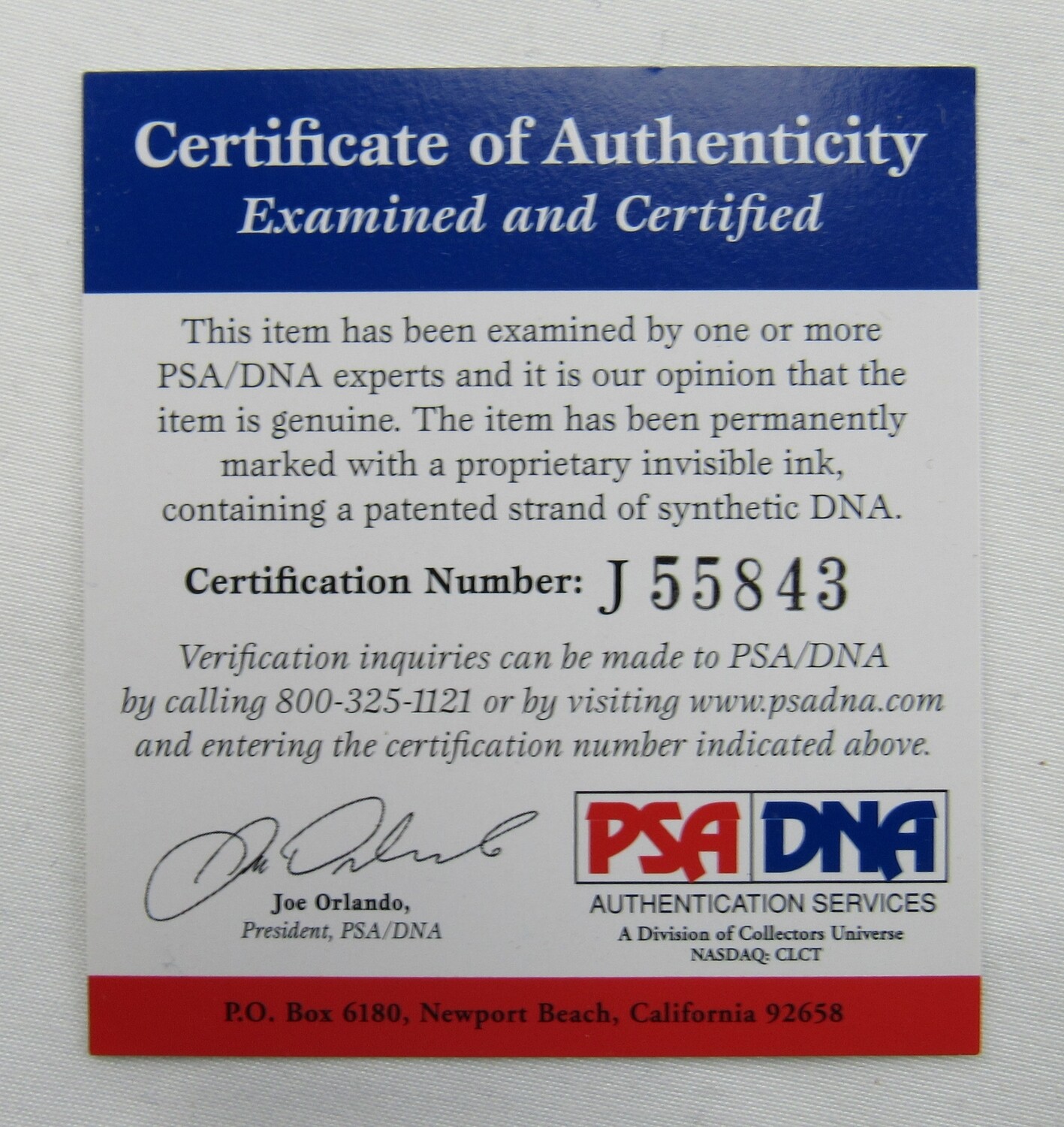 Gary Carter Signed Mets 16x20 Photo Inscribed "The Kid" & "86' WS Champ" (PSA) at PristineAuction.com Gary Carter Signed Mets 16x20 Photo Inscribed "The Kid" & "86' WS Champ" (PSA) at PristineAuction.com