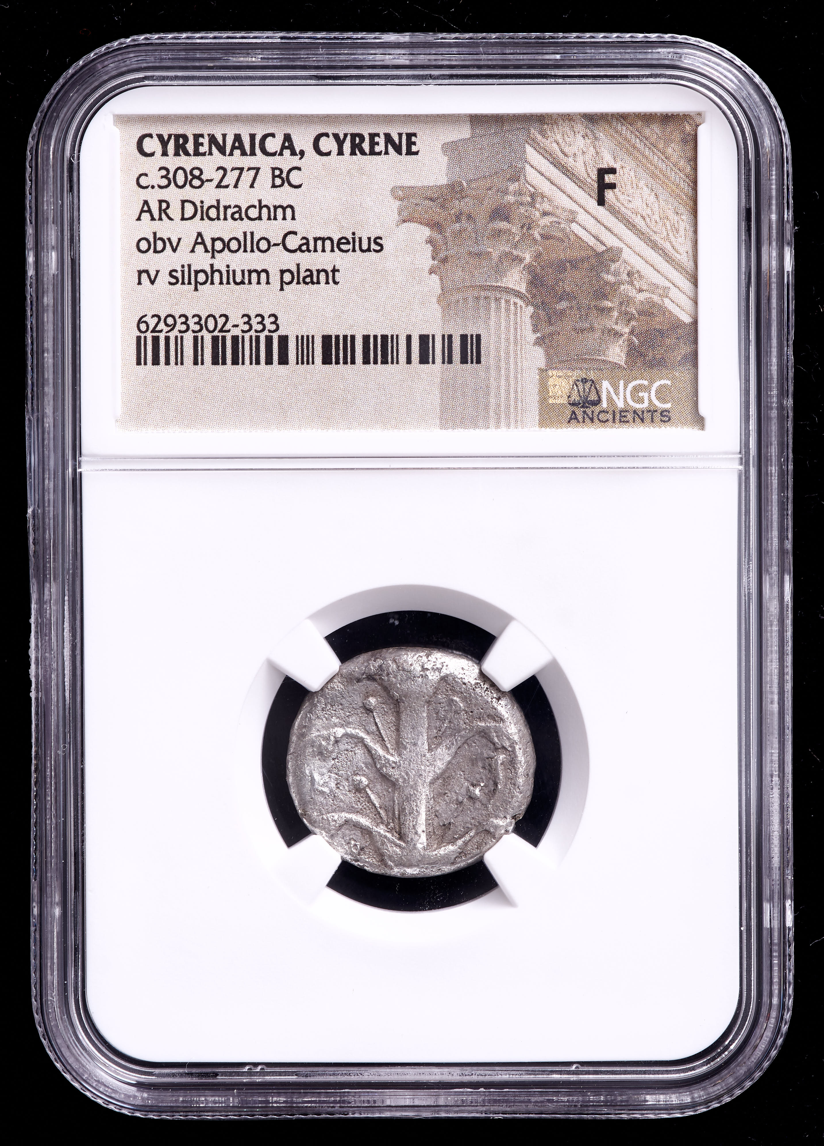 c.308-277 B.C. Cyrenaica, Cyrene AR Didrachm Ancient Silver Coin - obv Apollo-Cameius, rev Silphium Plant (NGC F) at PristineAuction.com c.308-277 B.C. Cyrenaica, Cyrene AR Didrachm Ancient Silver Coin - obv Apollo-Cameius, rev Silphium Plant (NGC F) at PristineAuction.com